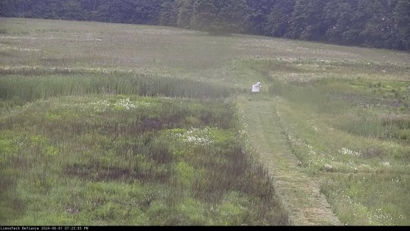 Cell 1 to 2_24-06-01_19-23-06-32