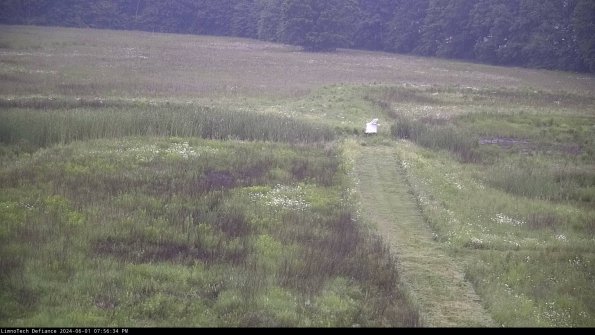 Cell 1 to 2_24-06-01_19-56-35-34