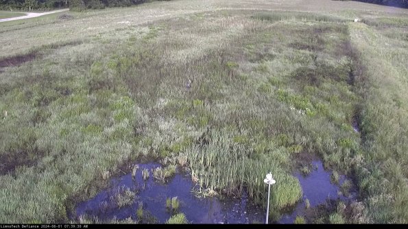 Cell 1_24-06-01_07-39-31-33