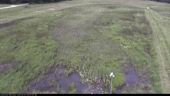 Cell 1_24-06-01_09-53-30-34