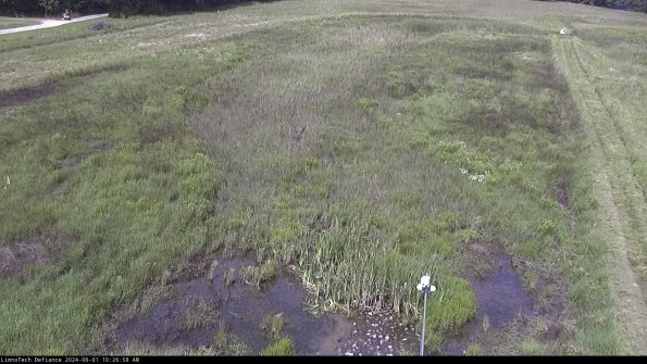 Cell 1_24-06-01_10-26-59-33