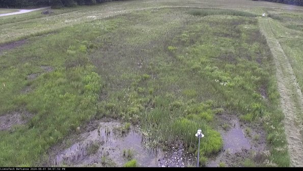 Cell 1_24-06-01_16-01-53-32