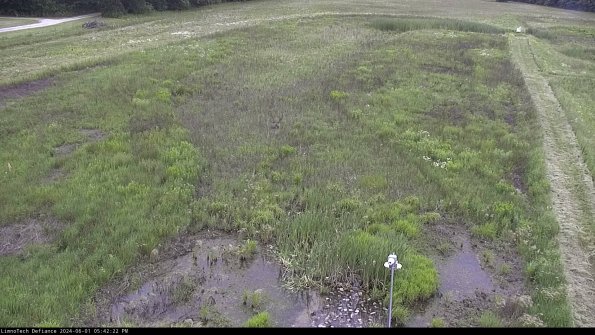 Cell 1_24-06-01_17-42-23-35