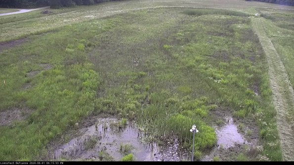 Cell 1_24-06-01_18-15-54-34