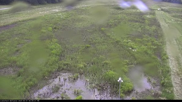 Cell 1_24-06-01_18-49-22-32