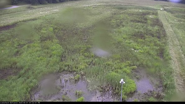 Cell 1_24-06-01_19-22-52-34