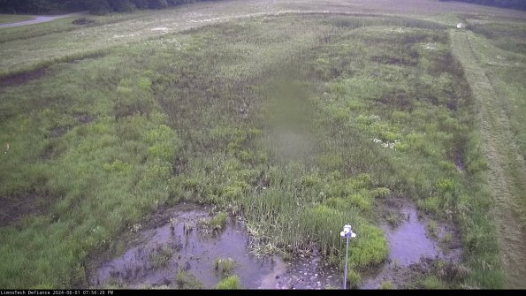 Cell 1_24-06-01_19-56-21-33