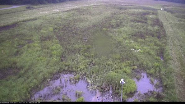 Cell 1_24-06-01_20-29-51-35