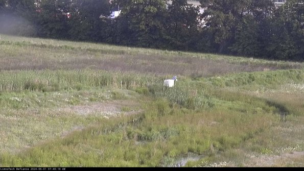 Cell 2 to 3_24-06-01_07-40-11-43