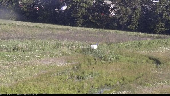 Cell 2 to 3_24-06-01_08-13-41-42