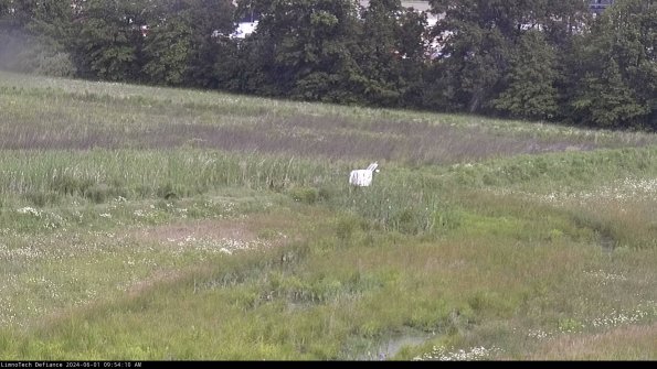 Cell 2 to 3_24-06-01_09-54-10-45