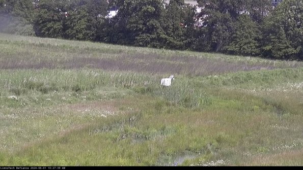 Cell 2 to 3_24-06-01_10-27-39-54