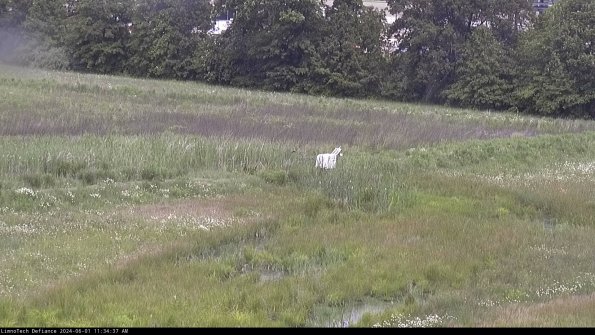 Cell 2 to 3_24-06-01_11-34-37-47