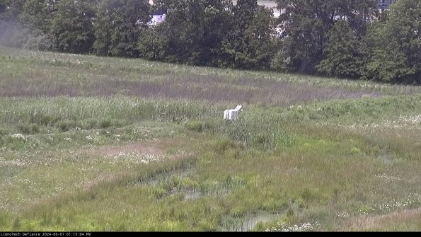 Cell 2 to 3_24-06-01_13-15-05-40