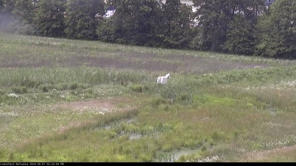 Cell 2 to 3_24-06-01_14-22-05-34