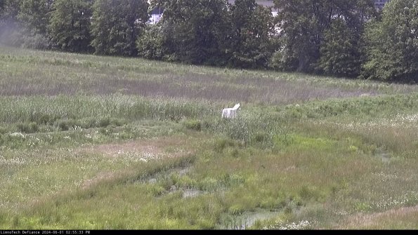 Cell 2 to 3_24-06-01_14-55-33-49