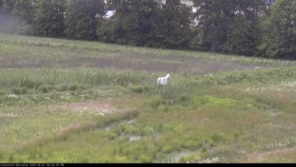 Cell 2 to 3_24-06-01_16-02-33-49