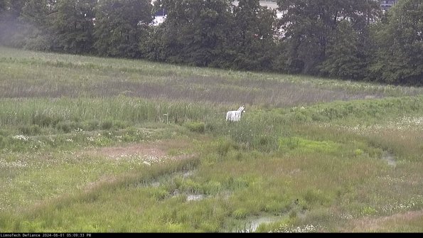 Cell 2 to 3_24-06-01_17-09-33-53