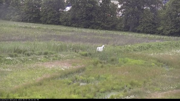 Cell 2 to 3_24-06-01_17-43-03-42