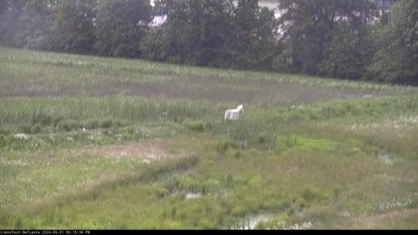 Cell 2 to 3_24-06-01_18-16-34-44