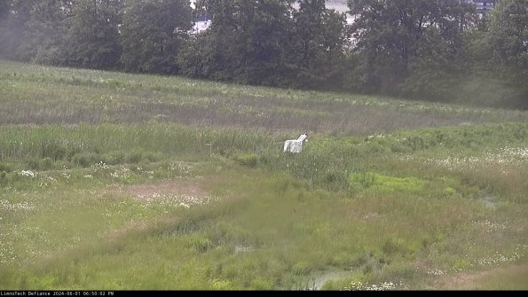 Cell 2 to 3_24-06-01_18-50-02-46