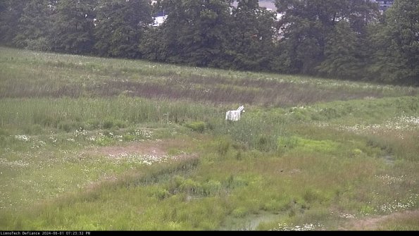 Cell 2 to 3_24-06-01_19-23-32-45