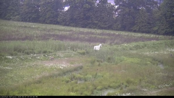 Cell 2 to 3_24-06-01_19-57-01-43