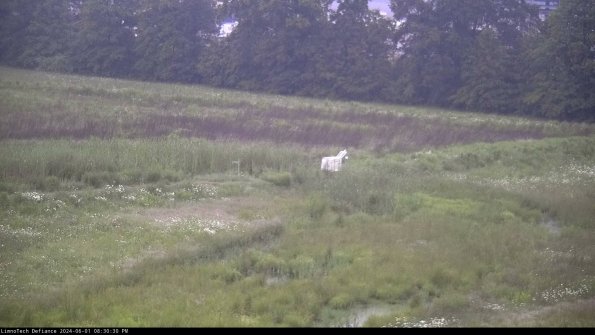 Cell 2 to 3_24-06-01_20-30-31-35