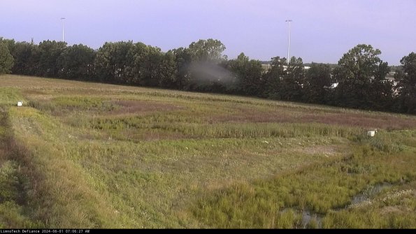 Cell 2_24-06-01_07-06-28-37