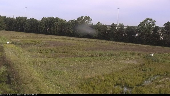 Cell 2_24-06-01_07-39-58-39