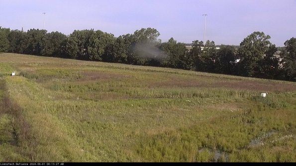 Cell 2_24-06-01_08-13-28-34