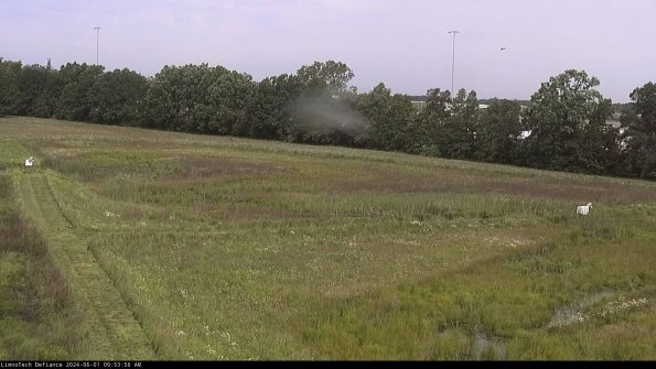 Cell 2_24-06-01_09-53-57-34