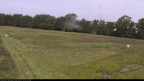 Cell 2_24-06-01_10-27-26-36