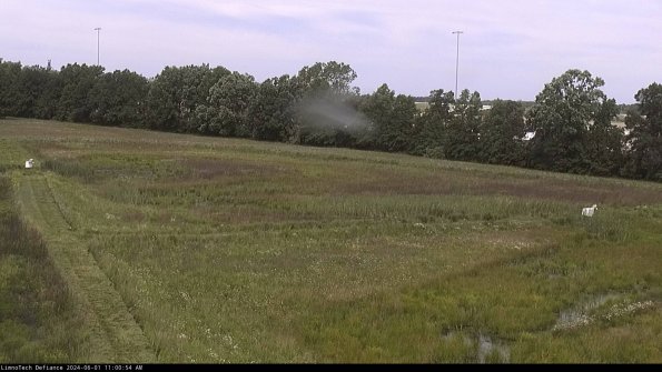 Cell 2_24-06-01_11-00-55-34