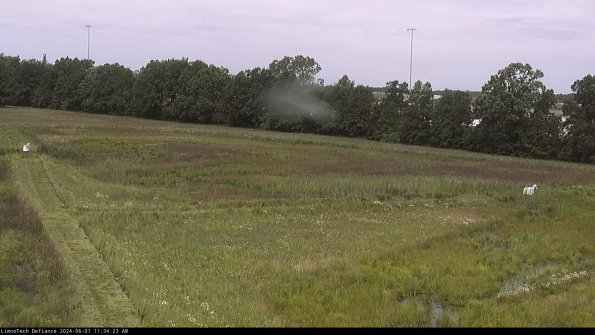 Cell 2_24-06-01_11-34-24-36