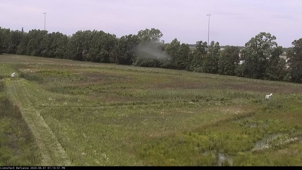 Cell 2_24-06-01_13-14-52-35