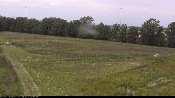 Cell 2_24-06-01_14-21-52-33