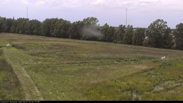 Cell 2_24-06-01_14-55-20-38