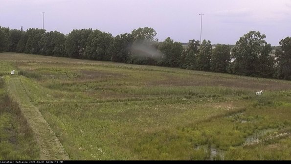 Cell 2_24-06-01_16-02-20-35