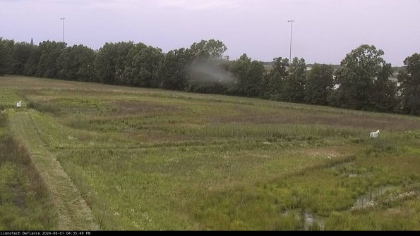 Cell 2_24-06-01_16-35-50-40