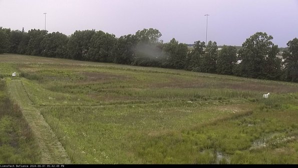 Cell 2_24-06-01_17-42-50-38