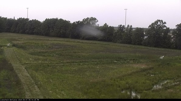 Cell 2_24-06-01_18-16-21-33