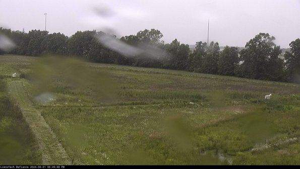 Cell 2_24-06-01_18-49-49-38