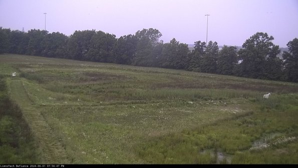 Cell 2_24-06-01_19-56-48-35