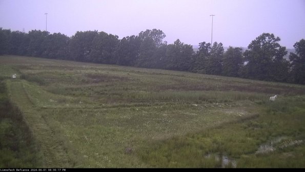 Cell 2_24-06-01_20-30-18-37