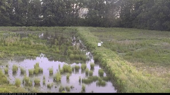 Cell 3 to 4_24-06-01_07-07-10-34