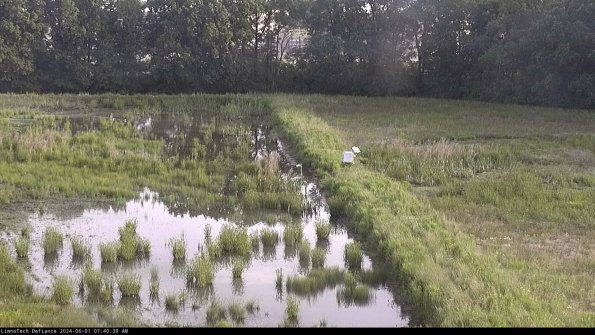 Cell 3 to 4_24-06-01_07-40-40-33