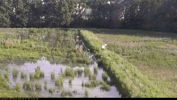 Cell 3 to 4_24-06-01_08-14-10-35