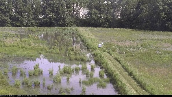 Cell 3 to 4_24-06-01_10-28-08-33