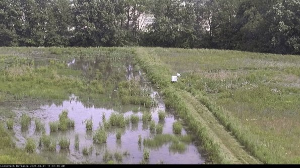 Cell 3 to 4_24-06-01_11-01-37-32